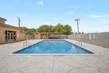 955 Venice Avenue - Photo 30