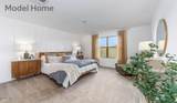 734 Calle Manolete - Photo 16