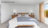 734 Calle Manolete - Photo 17
