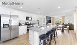734 Calle Manolete - Photo 9