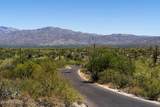 11062 Guillermo Haro Drive - Photo 8