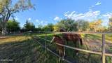 8741 Woodland Road - Photo 49