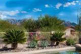 11122 Desert Flower Drive - Photo 1