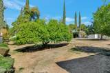731 Las Lomitas Road - Photo 25