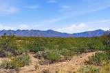 1451 Stronghold Canyon Lane - Photo 42