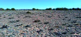 10.1 Acres Unnamed Road - Photo 13