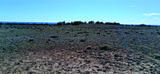 10.1 Acres Unnamed Road - Photo 15