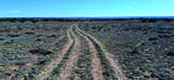 10.1 Acres Unnamed Road - Photo 16