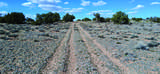 10.1 Acres Unnamed Road - Photo 17