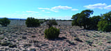 10.1 Acres Unnamed Road - Photo 19