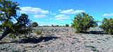 10.1 Acres Unnamed Road - Photo 20
