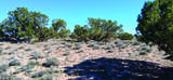 10.1 Acres Unnamed Road - Photo 21