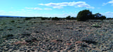 10.1 Acres Unnamed Road - Photo 22
