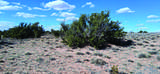 10.1 Acres Unnamed Road - Photo 23