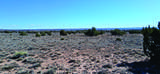 10.1 Acres Unnamed Road - Photo 7
