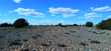 10.1 Acres Unnamed Road - Photo 8