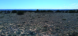 10.1 Acres Unnamed Road - Photo 9