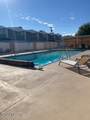 1776 Palo Verde - Photo 14