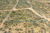 3.79 Acres Off Vanessa Way - Photo 3