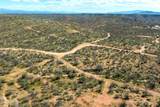 3.79 Acres Off Vanessa Way - Photo 6