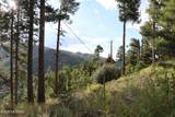 12718 Upper Loma Linda Road - Photo 4