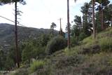 12718 Upper Loma Linda Road - Photo 6