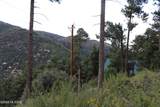 12718 Upper Loma Linda Road - Photo 9