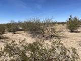 5acres Parrot Ln - Photo 8