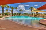 32393 Desert Pupfish Drive - Photo 24