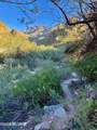 6655 Canyon Crest Drive - Photo 48