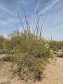 30407004H Holt Lane - Photo 11