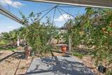 9971 Spiney Cactus Way - Photo 39