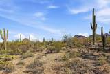 6142 Placita Sayal - Photo 25