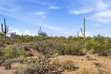 6078 Placita Sayal - Photo 4