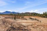6030 Placita Sayal - Photo 23
