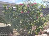 3145 Citrus Road - Photo 13