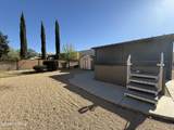 1230 Golden Palomino Place - Photo 8