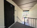 1366 Avenida Polar - Photo 17