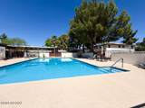 1366 Avenida Polar - Photo 20