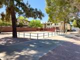 1366 Avenida Polar - Photo 23