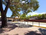1366 Avenida Polar - Photo 24