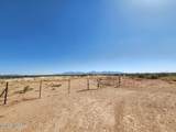 86 Acres Highway 82 - Photo 21