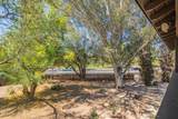 333 Alvernon Way - Photo 18