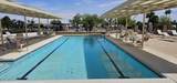 91 Olive Drive - Photo 20