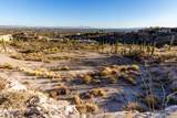 4284 Playa De Coronado - Photo 40