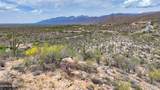 13656 Placita Del Inca - Photo 14