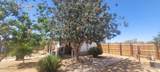 11391 Desert Grass Lane - Photo 20