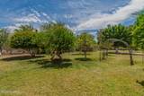 10783 Swan Road - Photo 39