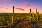 13725 San Pedro River Road - Photo 11