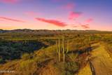 13725 San Pedro River Road - Photo 12
